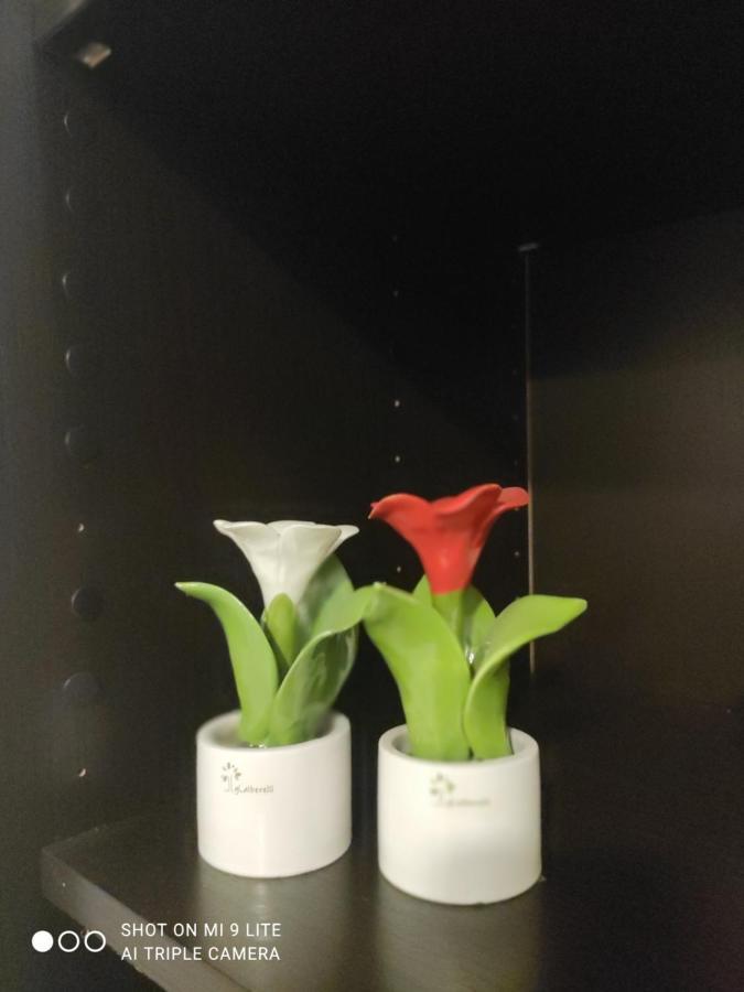Casa Vacanze Zia Rose ナポリ エクステリア 写真